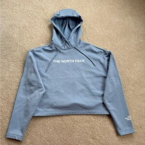 The North Face Light Blue Fleece pullover crop